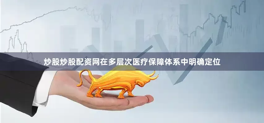 炒股炒股配资网在多层次医疗保障体系中明确定位